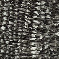 10 pastel noir,sans titre, 2007, 24x18cm
